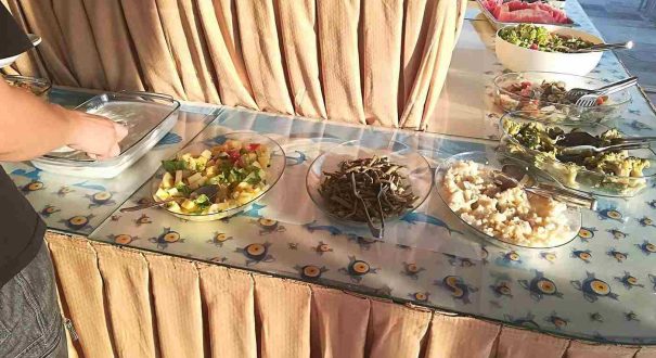 انواع سالاد و غذاهای سرد در بوفه رستوران هتل ملیکه کوش‌آداسی