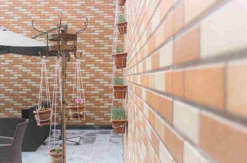 حوطه بیرونی هتل پلازا ویکتوریا ایروان با گلدان‌های تزئینی
